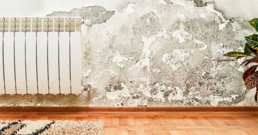 Cómo lijar una pared con humedad
